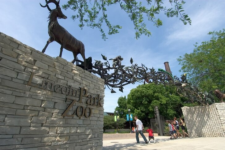 Zoológico de Lincoln Park.