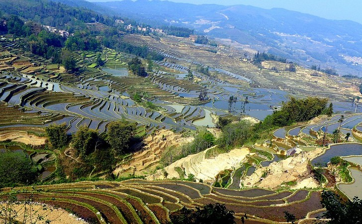 Rizières en terrasses de Honghe-Hani