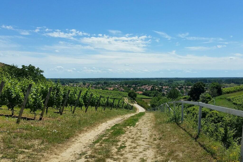 Région viticole de Tokaj