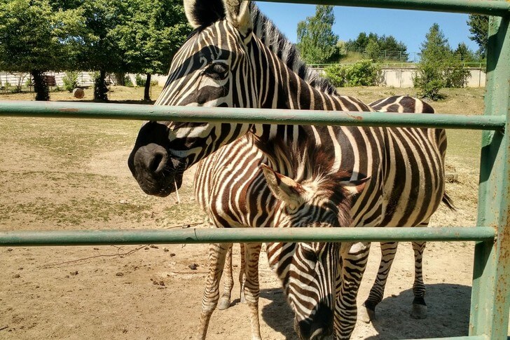 Košice Zoo