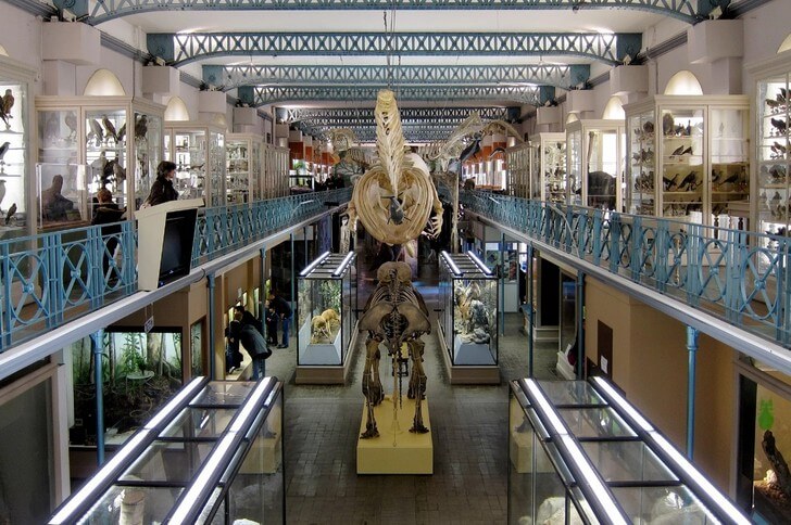 Lille Museum of Natural History