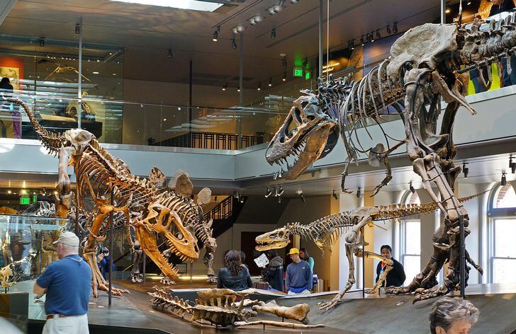 Museo de Historia Natural de Los Ángeles