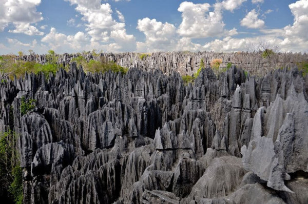 Natuurreservaat Tsingy-du-Bemaraha