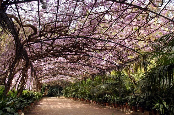 La Concepción Botanical Garden