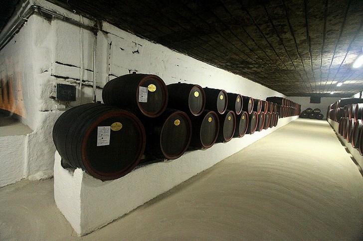 Crikovo Winery