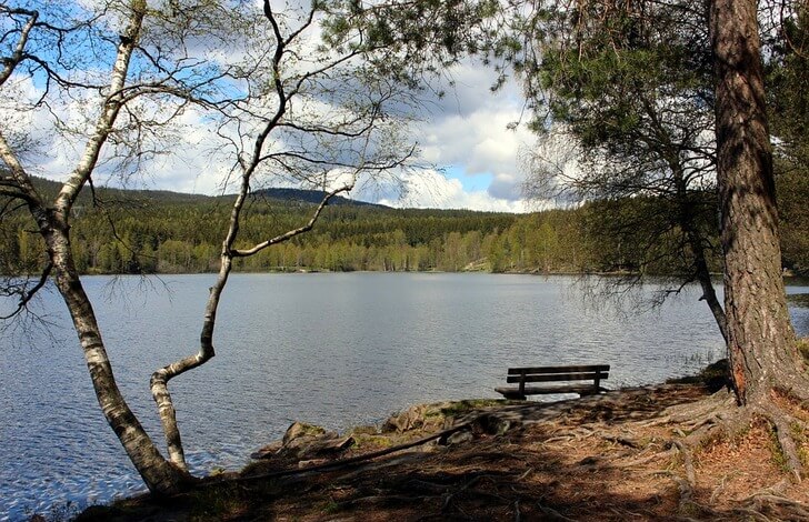 Lake Sognsvann