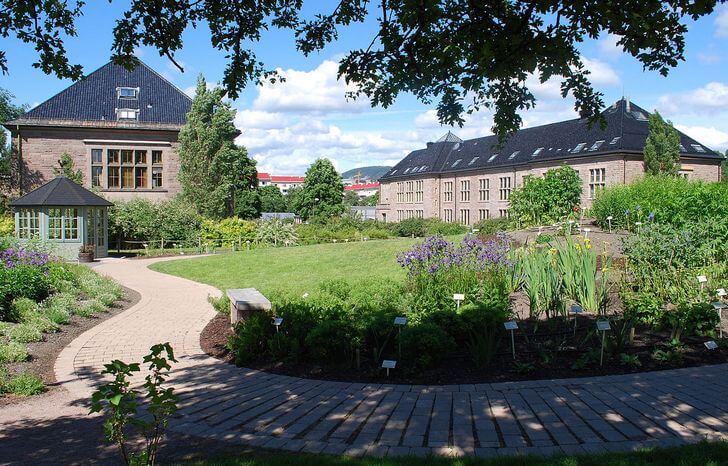 Oslo Botanical Gardens