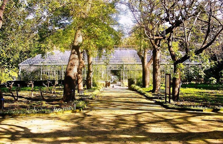 Palermo Botanical Garden