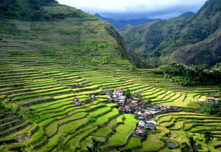 Terrazas de arroz en las Cordilleras de Filipinas