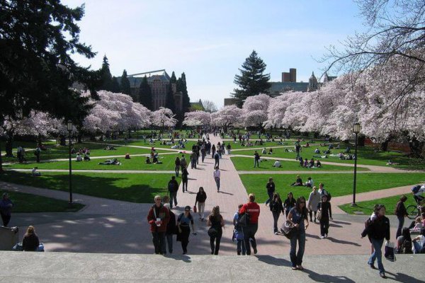 Univerzita vo Washingtone