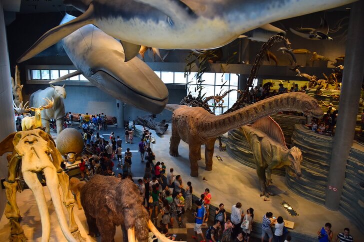 Shanghai Museum of Natural History