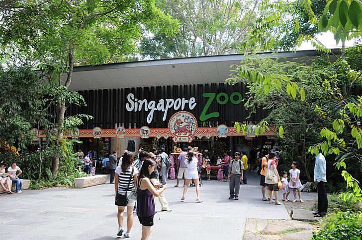 Zoológico de Singapur (Zoológico de Singapur)
