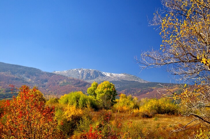 Cordillera de Vitosha