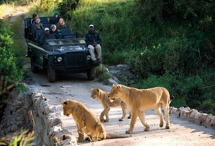 Parc national Kruger