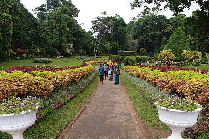 Jardins botaniques royaux de Paradeniya
