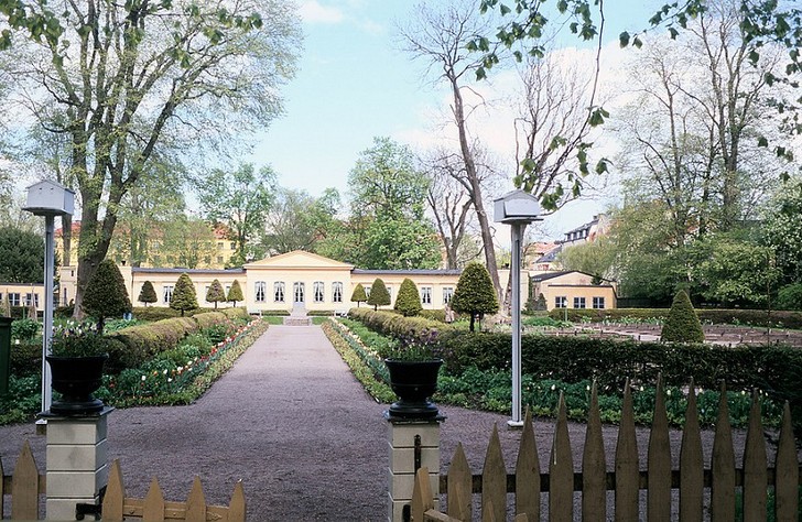 El jardín de Carl Linneo