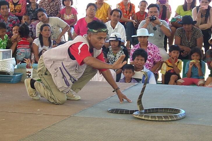 Snake farm in Pattaya